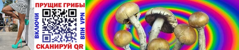 купить наркотики сайты  Крымск  mega рабочий сайт  Галлюциногенные грибы MAGIC MUSHROOMS 